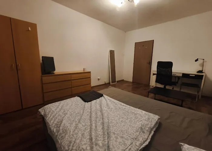 Double 17m2 With Shared Bathroom